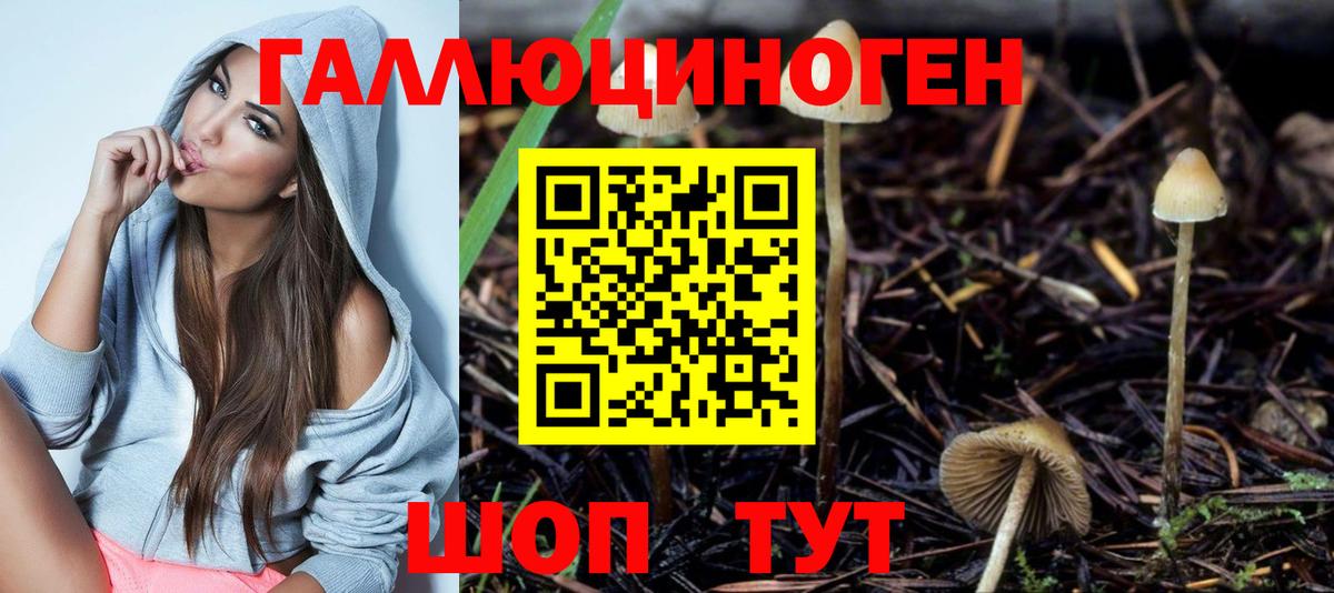 Галлюциногенные грибы Psilocybine cubensis  закладка  Кувандык  Вход с VPN  Галлюциногенные грибы Magic Shrooms 