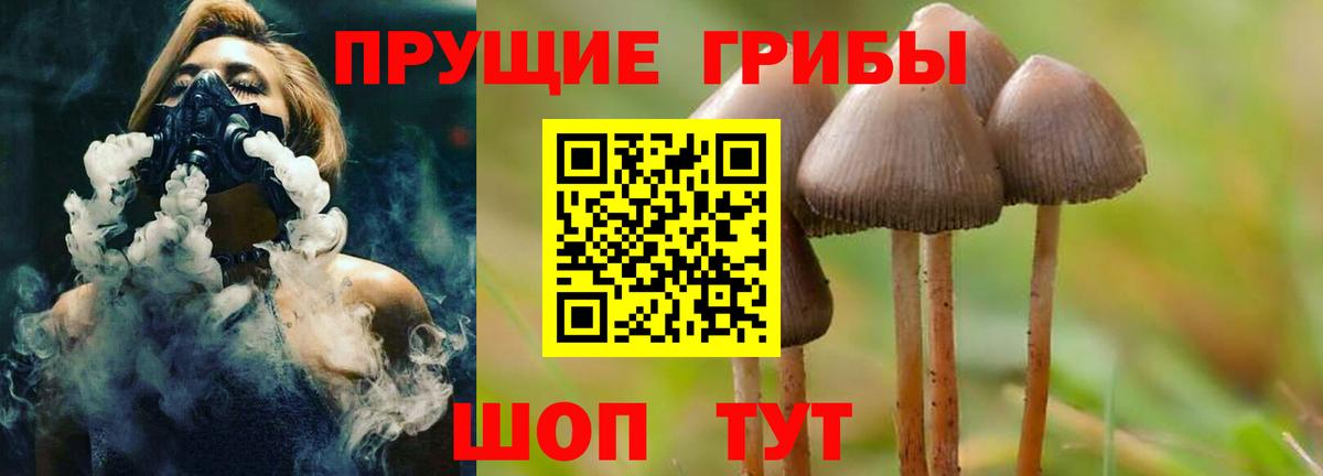 Галлюциногенные грибы прущие грибы Кувандык