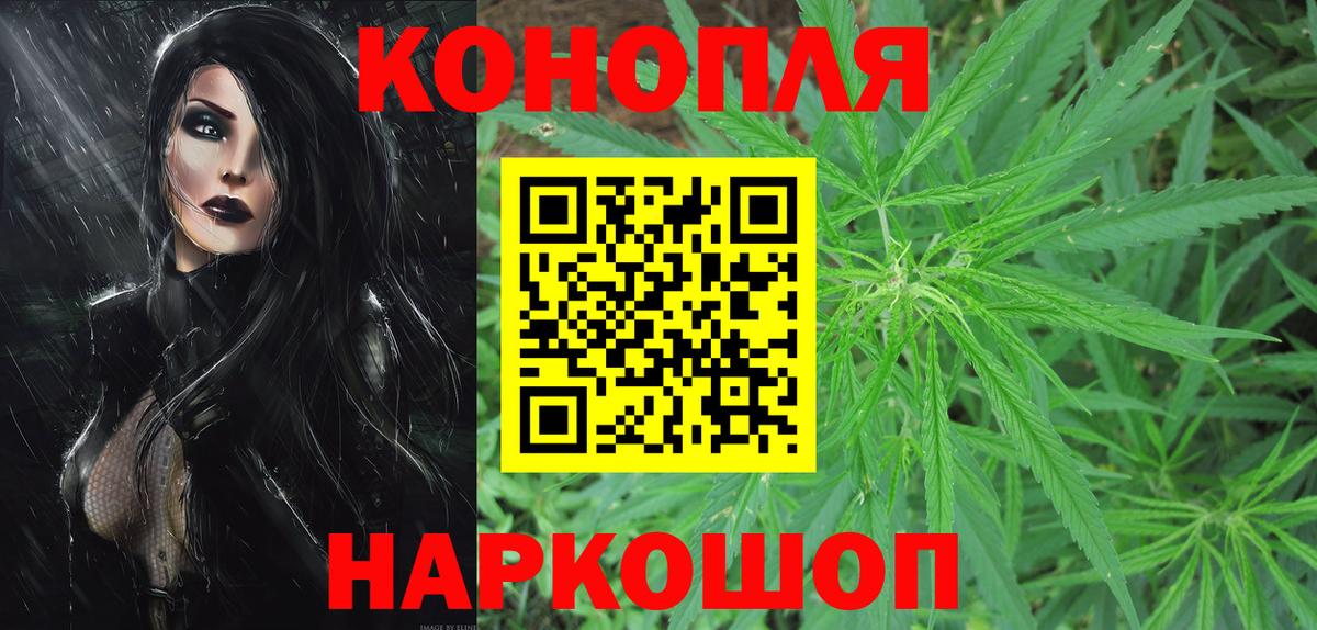 Каннабис планчик Кувандык